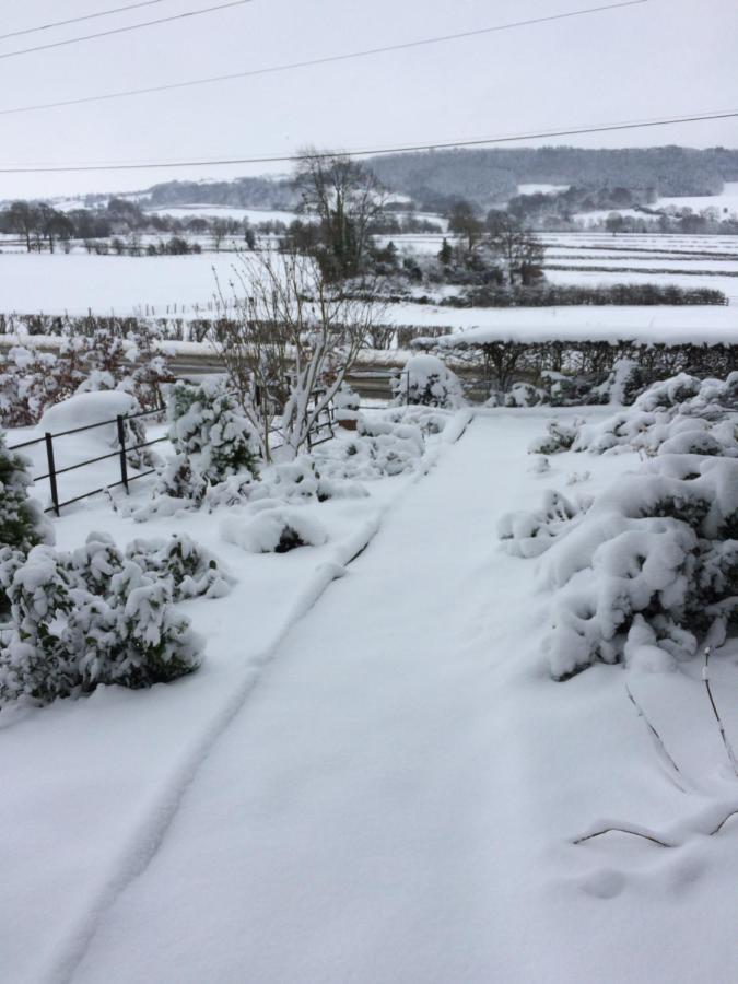 Meifod Tan Y Graig Bed & Breakfast エクステリア 写真