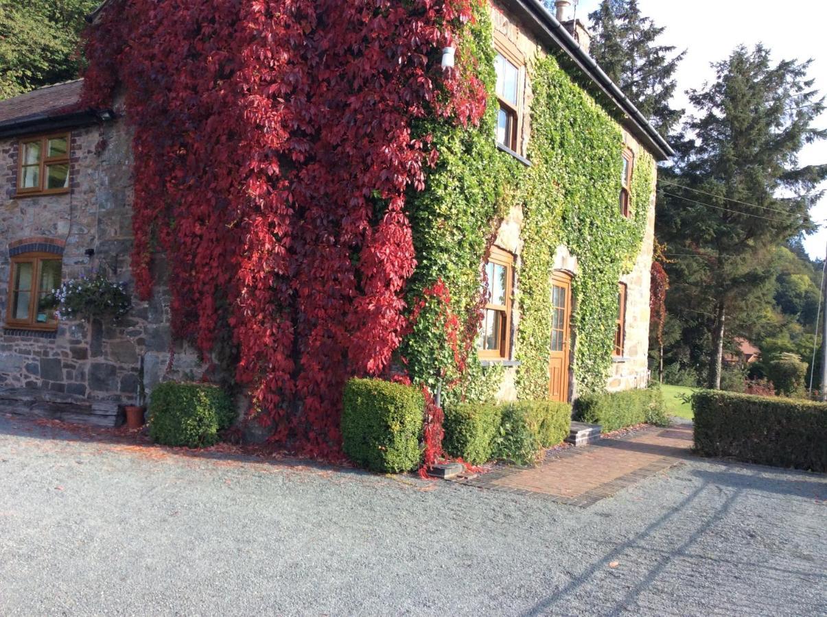 Meifod Tan Y Graig Bed & Breakfast エクステリア 写真